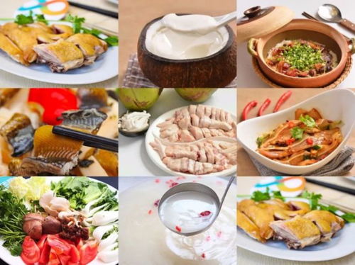 深圳湖北菜馆大全，品尝正宗湖北美食的指南