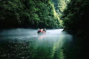 湖北旅游景区最新消息公布，探索魅力湖北的旅游胜地