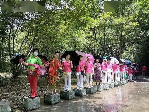 湖北省游客旅游,湖北省旅游监管平台 湖北省游客旅游,湖北省旅游监管平台