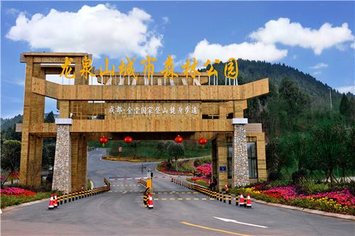 湖北中市旅游探秘，湖北旅游的魅力之旅