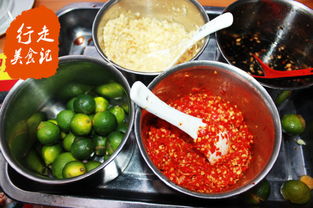 湖北张姐美食日记,探寻地道美食之旅 湖北张姐美食日记,探寻地道美食之旅