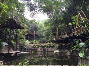 团结湖北旅游攻略揭秘，探寻神秘之地，了解团结湖究竟是哪？