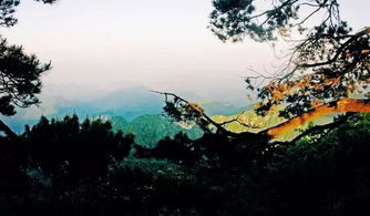 湖北清明哪里旅游,湖北过清明节的特点