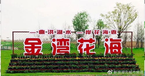 湖北旅游惠民卡洪湖,2021湖北旅游惠民活动