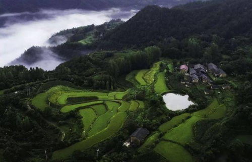 湖北麻城旅游攻略，探寻美丽麻城的美景之旅