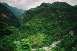 湖北之旅，探索美丽的旅游胜地作文