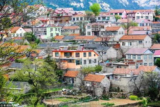 湖北旅游名村铜岭村，探访2016年旅游名村的魅力之旅