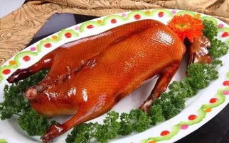 湖北美食深圳烤鸭视频下载,深圳吃北京烤鸭