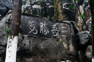 湖北旅游下雨好玩吗现在,我国第二阶梯的盆地有哪三个 湖北旅游下雨好玩吗现在,我国第二阶梯的盆地有哪三个