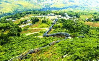 湖北旅游最长电梯,湖北最长的电梯