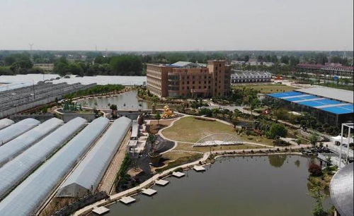 湖北潜江出发自驾游一日游好去处推荐，潜江周边一日游攻略