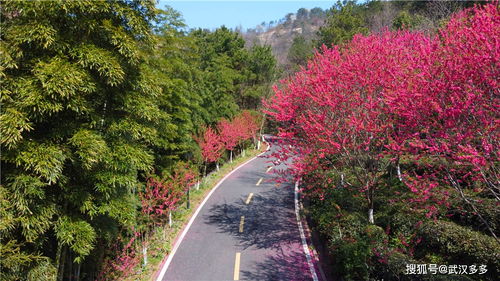 湖北红色旅游打卡胜地探索之旅