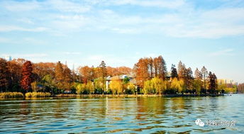 湖北最大旅游团有哪些,湖北著名旅游 湖北最大旅游团有哪些,湖北著名旅游