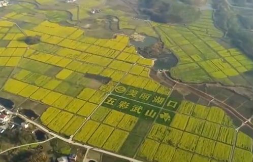 湖南与湖北旅游对比,两地旅游深度解析与对比分析 湖南与湖北旅游对比,两地旅游深度解析与对比分析