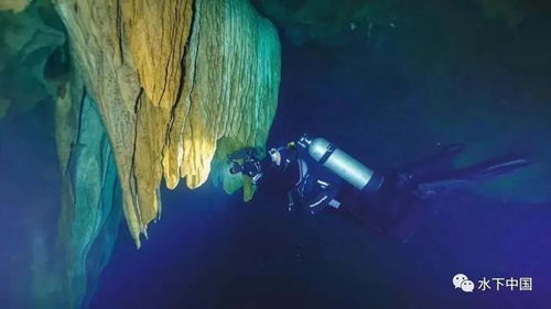 湖北南湖旅游景点与神秘外星人电压探索 湖北南湖旅游景点与神秘外星人电压探索