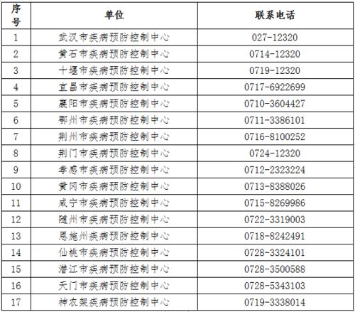 湖北美食街团队名单表与小吃街探秘