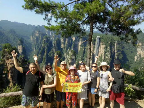 湖北旅游导游燕妮，湖北省的杰出导游之路