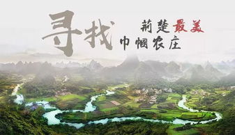 湖北旅游探秘，魅力无限的楚天之旅