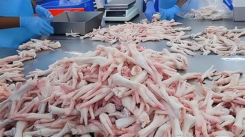 湖北美食制作，杀鸡杀猪视频播放全集