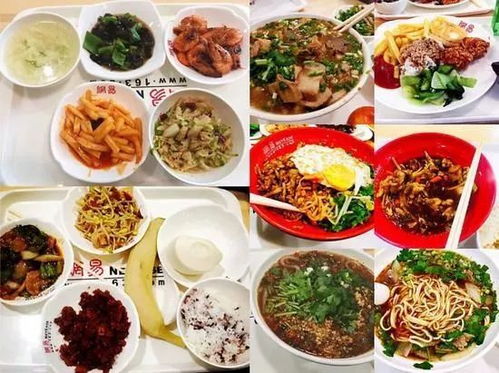 湖北美食城地址揭秘，美食生活家的聚集地