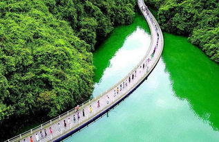 湖北宣恩春节旅游攻略,宣恩一日游攻略 湖北宣恩春节旅游攻略,宣恩一日游攻略