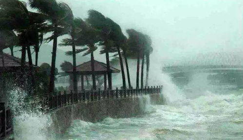 湖北雨季旅游指南，推荐景点与理由，下雨也玩得嗨！