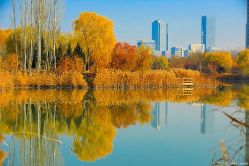 湖北秋季旅游好去处,湖北省适合秋天旅游的景点