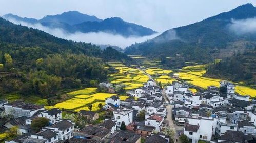 湖北黄陂旅游指南，最值得一去的景区推荐