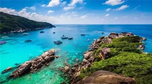 宋子君湖北旅游的简单介绍