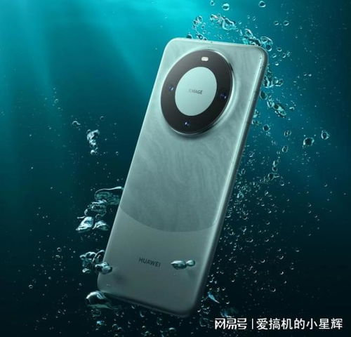 华为Mate 60首曝，土豪争相抢购新旗舰