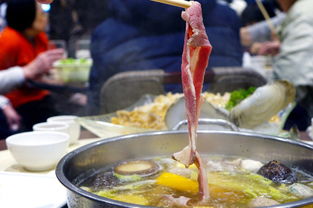 利川火鸭儿，湖北美食火锅的绝佳体验