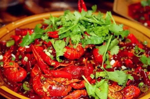 湖北湖南美食,泥鳅之味探秘 湖北湖南美食,泥鳅之味探秘