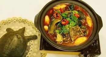 湖北美食排行榜第一,湖北美食排行榜第一名是谁