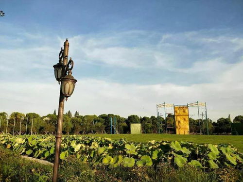 南丽湖北门旅游探秘，南丽湖度假村休闲度假攻略
