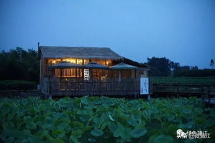 湖北绿茵小镇旅游,湖北绿茵小镇旅游攻略