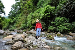重庆恩施旅游攻略，自助游路线与攻略探索