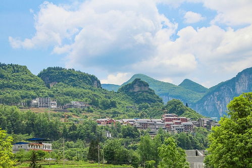 深圳至湖北旅游推荐攻略