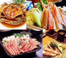 湖北美食能否带上国内航班？探讨美食与航空规定