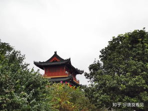 荆州旅游攻略，探索湖北荆州的魅力之旅