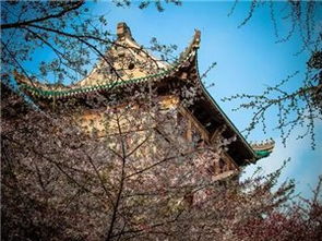 湖北楚韵之旅，探索楚文化，尽享楚天美景