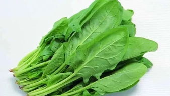 用绿色青菜做湖北美食怎么做,绿色青菜作用