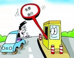 湖北一旅游司机被开除了,湖北旅游客运司机招聘