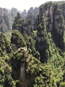 湖北小伙四川自驾游之旅 湖北小伙四川自驾游之旅
