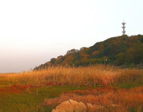 湖北君山岛旅游攻略,湖北君山岛旅游攻略路线