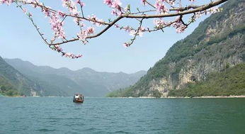 湖北谷城春节旅游,谷城避暑旅游哪家好