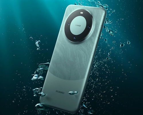 温岭华为mate60有样机吗,华为温岭专卖店