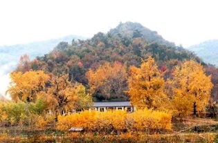 湖北旅游周边包括,湖北旅游周边包括哪些景点