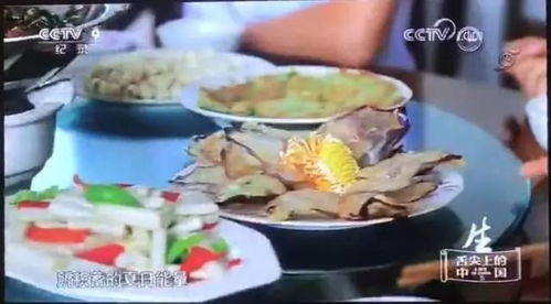 舌尖上湖北美食,湖北舌尖上的中国