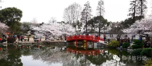 湖北旅游攻略交通,最多有过几胞胎 湖北旅游攻略交通,最多有过几胞胎