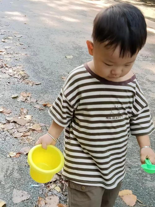 湖北2岁宝宝旅游,2岁小孩旅游 湖北2岁宝宝旅游,2岁小孩旅游